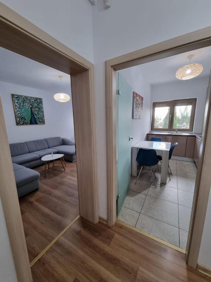 Sasu Apartment Timişoara Eksteriør bilde